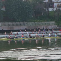 Rowing on the channel Canal Alfonso XIII - only women